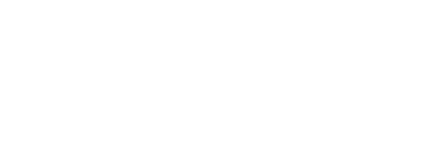 The Financial Commission